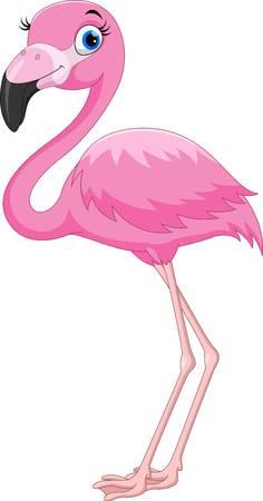 Flamingo Flamingo