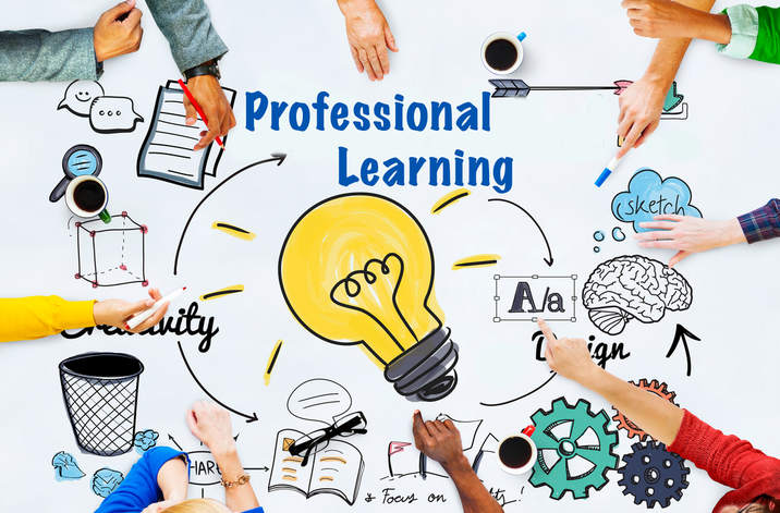 Professional Learning Professional Learning