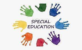 Special Education Teacher
