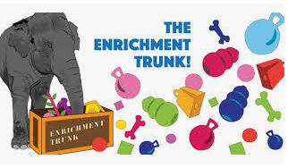 Jenkins, Belinda / 8th Grade Enrichment