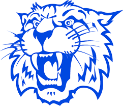 Wildcat 