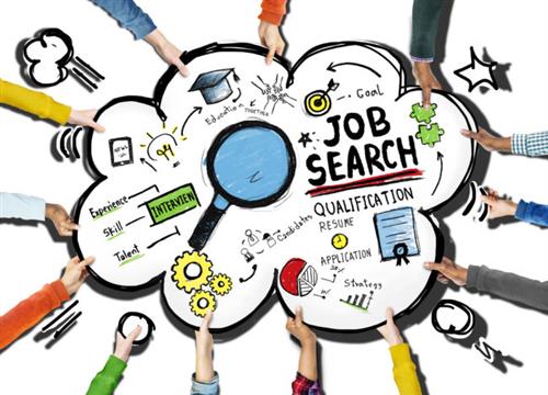 Job Search