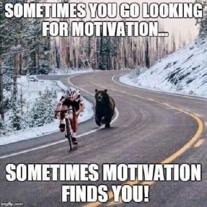 Motivation