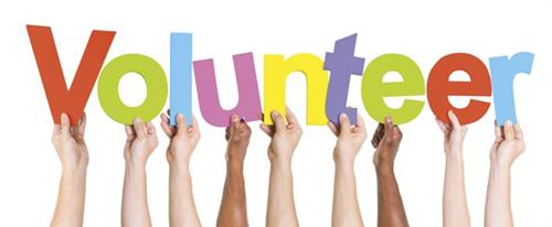 Volunteer 