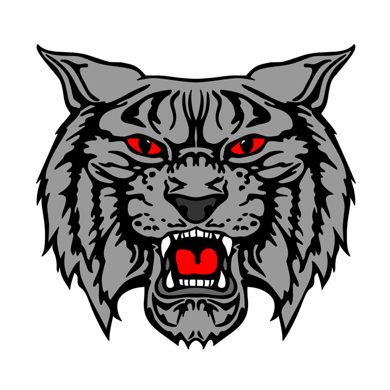 Wildcat Wildcat