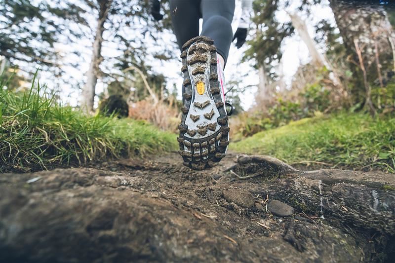 Trail Trail