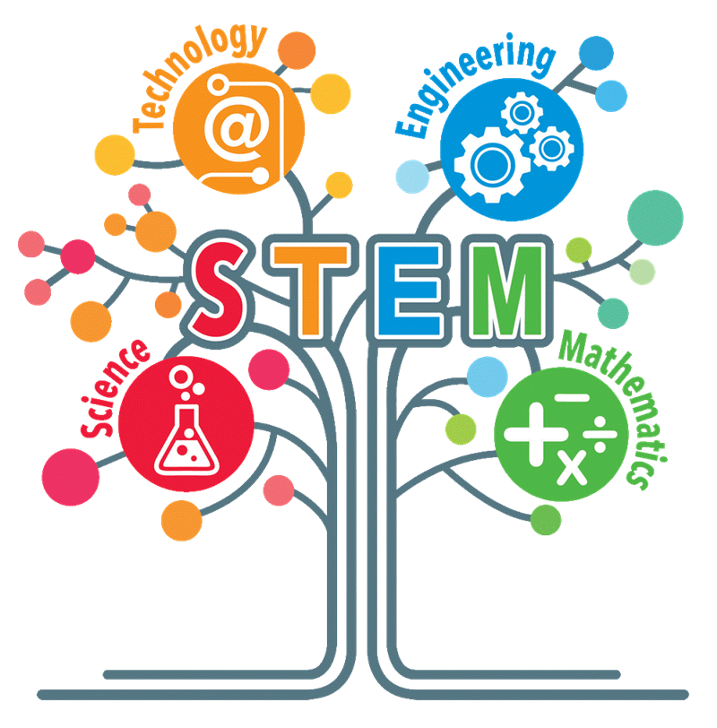 STEM STEM