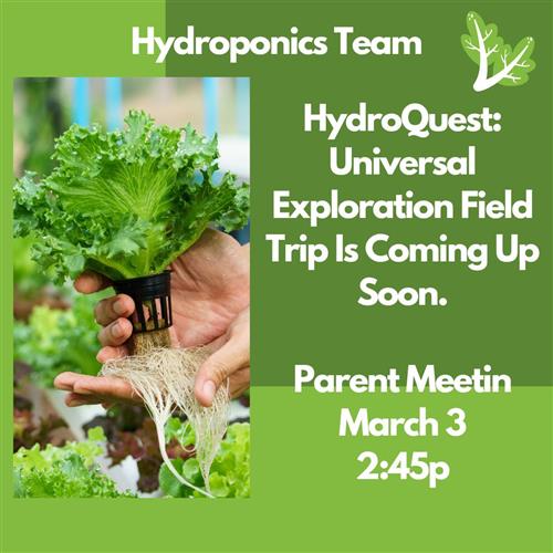 Hydroponics 