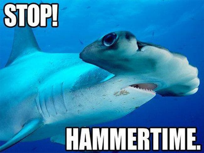hammertime hammertime