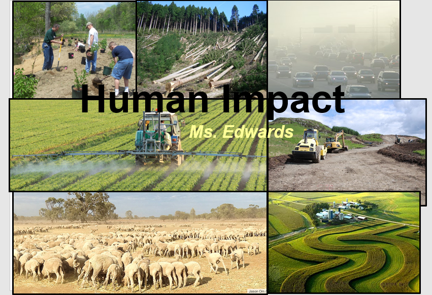 Human Impact