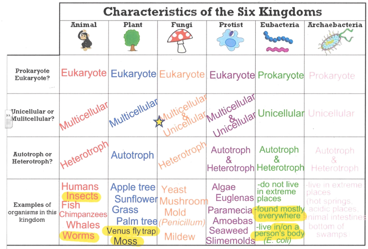 Characteristics of the Six Kingdoms