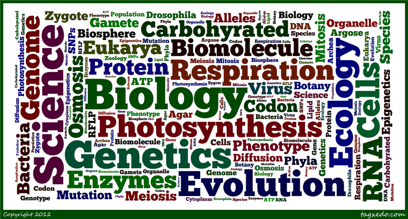 Biology Biology
